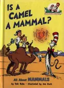 A teve emlős? - Is a Camel a Mammal?