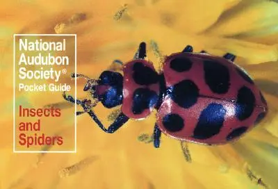 National Audubon Society Pocket Guide: Rovarok és pókok - National Audubon Society Pocket Guide: Insects and Spiders