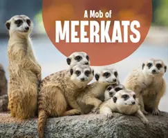 A földimalacok csőcseléke - Mob of Meerkats