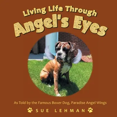 Életet élni Angyal szemével - Living Life Through Angel's Eyes