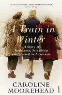 Vonat télen - Az ellenállás, a barátság és a túlélés története Auschwitzban - Train in Winter - A Story of Resistance, Friendship and Survival in Auschwitz