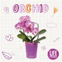 Orchidea - Orchid