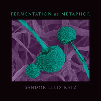 Az erjesztés mint metafora: A bestseller szerzőjétől Az erjesztés művészete - Fermentation as Metaphor: From the Author of the Bestselling the Art of Fermentation