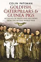 Aranyhal hernyók és tengerimalacok - Pilóták és repülőszemélyzet beszámolói a II. világháborúból - Goldfish Caterpillars & Guinea Pigs - Accounts of Pilots and Air Crews from World War II