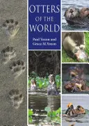 A világ vidrái - Otters of the World