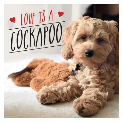 A szerelem egy kakadu: A világ legcukibb kutyafajtájának kutyás ünneplése - Love Is a Cockapoo: A Dog-Tastic Celebration of the World's Cutest Breed