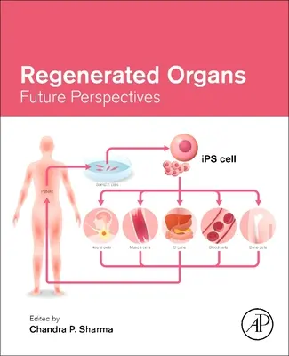 Regenerált szervek: Jövőbeli perspektívák - Regenerated Organs: Future Perspectives