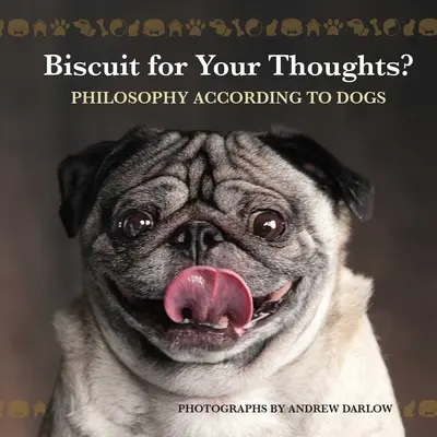 Keksz a gondolataidért? Filozófia a kutyák szerint - Biscuit for Your Thoughts?: Philosophy According to Dogs