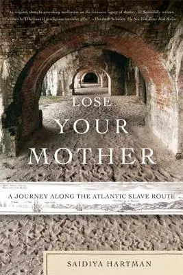 Veszítsd el az anyádat! Utazás az atlanti rabszolgák útján - Lose Your Mother: A Journey Along the Atlantic Slave Route