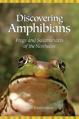 A kétéltűek felfedezése: Az északkeleti régió békái és szalamandrái - Discovering Amphibians: Frogs and Salamanders of the Northeast