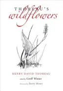 Thoreau vadvirágai - Thoreau's Wildflowers