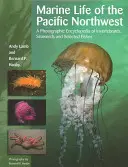 A csendes-óceáni északnyugat tengeri élővilága: Fényképes enciklopédia gerinctelenekről, tengeri moszatokról és kiválasztott halakról - Marine Life of the Pacific Northwest: A Photographic Encyclopedia of Invertebrates, Seaweeds and Selected Fishes