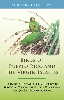 Puerto Rico és a Virgin-szigetek madarai: Teljesen átdolgozott és frissített harmadik kiadás - Birds of Puerto Rico and the Virgin Islands: Fully Revised and Updated Third Edition