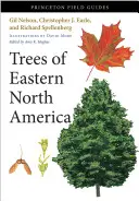 Észak-Amerika keleti részének fái - Trees of Eastern North America