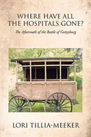 Hová tűntek a kórházak?: A gettysburgi csata utóhatásai - Where Have All the Hospitals Gone?: The Aftermath of the Battle of Gettysburg