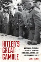 Hitler nagy játszmája: A német stratégia, a Barbarossa hadművelet és a tengelyhatalmak veresége a II. világháborúban - A New Look at German Strategy, Operation Barbarossa, and the Axis Defeat in World War II. - Hitler's Great Gamble: A New Look at German Strategy, Operation Barbarossa, and the Axis Defeat in World War II