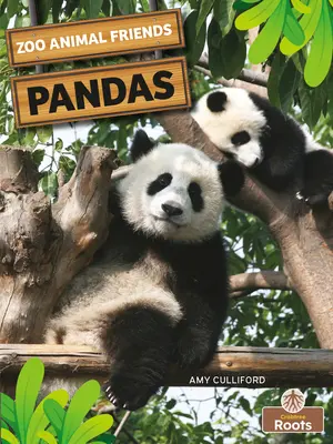 Pandák - Pandas