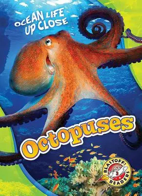 Polipok - Octopuses