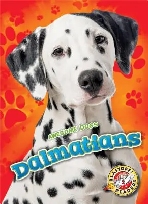 Dalmaták - Dalmatians