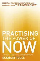 A jelen erejének gyakorlása - Meditációk, gyakorlatok és alapvető tanítások A jelen erejéből - Practising The Power Of Now - Meditations, Exercises and Core Teachings from The Power of Now