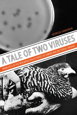 Két vírus története: Párhuzamok a tumor- és baktériumvírusok kutatási pályáján - A Tale of Two Viruses: Parallels in the Research Trajectories of Tumor and Bacterial Viruses