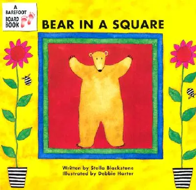 Medve a téren - Bear in a Square