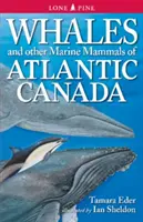 Bálnák és más tengeri emlősök az Atlanti-óceánon Kanadában - Whales and Other Marine Mammals of Atlantic Canada