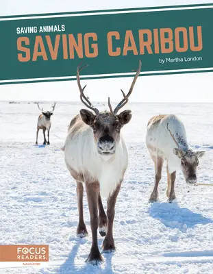 Rénszarvasok megmentése - Saving Caribou