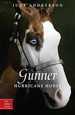 Gunner: Hurrikán ló - Gunner: Hurricane Horse