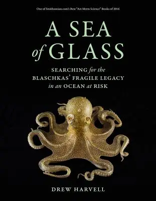 Üvegtenger, 13: A Blaschkák törékeny örökségének keresése egy veszélyeztetett óceánon - A Sea of Glass, 13: Searching for the Blaschkas' Fragile Legacy in an Ocean at Risk