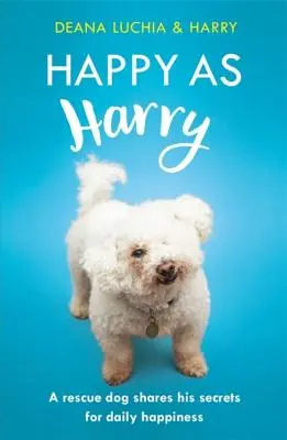 Happy as Harry: Egy mentőkutya megosztja a napi boldogság titkait - Happy as Harry: A Rescue Dog Shares His Secrets for Daily Happiness