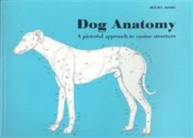 Kutyák anatómiája: Képes megközelítés a kutyák felépítéséhez - Dog Anatomy: A Pictoral Approach to Canine Structure