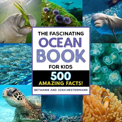 A lenyűgöző óceánkönyv gyerekeknek: 500 hihetetlen tény! - The Fascinating Ocean Book for Kids: 500 Incredible Facts!