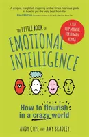 Az érzelmi intelligencia kis könyve: Hogyan gyarapodjunk egy őrült világban - The Little Book of Emotional Intelligence: How to Flourish in a Crazy World