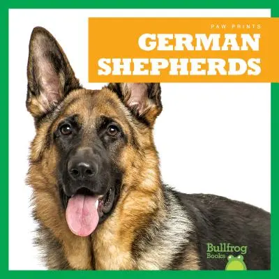 Német juhászkutyák - German Shepherds