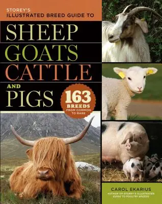 Storey's Illustrated Breed Guide to Sheep, Goats, Cattle and Pigs: 163 fajta a gyakoriaktól a ritka fajtákig - Storey's Illustrated Breed Guide to Sheep, Goats, Cattle and Pigs: 163 Breeds from Common to Rare