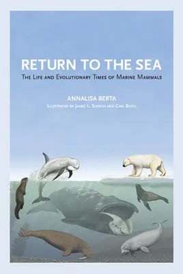 Visszatérés a tengerhez: A tengeri emlősök élete és evolúciós időszaka - Return to the Sea: The Life and Evolutionary Times of Marine Mammals