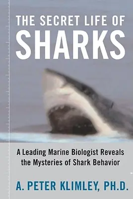 A cápák titkos élete: Egy vezető tengerbiológus feltárja a cápák viselkedésének rejtélyeit - The Secret Life of Sharks: A Leading Marine Biologist Reveals the Mysteries of Shark Behavior