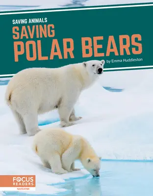 Rettung von Eisbären - Saving Polar Bears