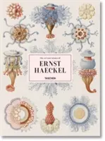 Ernst Haeckel művészete és tudománya - The Art and Science of Ernst Haeckel