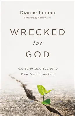 Tönkrementek Istenért: Az igazi átalakulás meglepő titka - Wrecked for God: The Surprising Secret to True Transformation