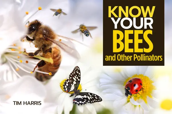 Ismerd meg a beporzókat - Know Your Pollinators