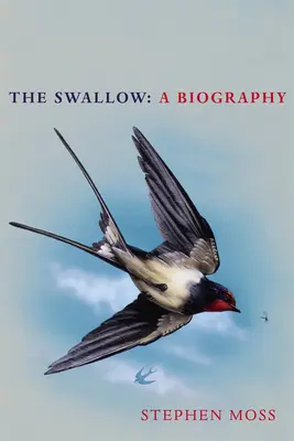 A fecske: Életrajz - The Swallow: A Biography