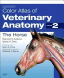 Az állatorvosi anatómia színes atlasza, 2. kötet, A ló - Color Atlas of Veterinary Anatomy, Volume 2, the Horse