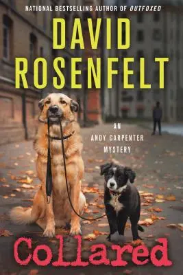 Collared: Egy Andy Carpenter-rejtély - Collared: An Andy Carpenter Mystery