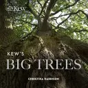 Kew's Big Trees