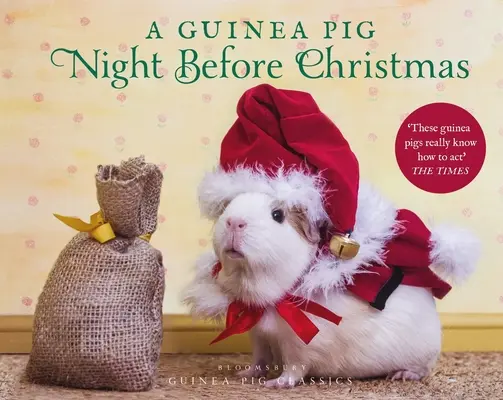 Egy tengerimalac karácsony előtti éjszakája - A Guinea Pig Night Before Christmas