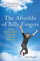 Billy Fingers túlvilági élete: Hogyan bizonyította be nekem a rosszfiú bátyám, hogy van élet a halál után - Afterlife of Billy Fingers: How My Bad-Boy Brother Proved to Me There's Life After Death