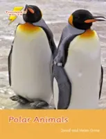 Sarki állatok - 4. készlet - Polar Animals - Set 4