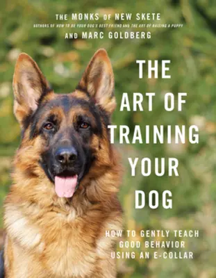 A kutyakiképzés művészete: Hogyan tanítsuk meg gyengéden a jó viselkedést a nyakörv segítségével? - The Art of Training Your Dog: How to Gently Teach Good Behavior Using an E-Collar